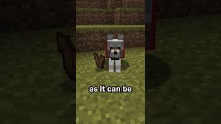 The Armadillo is the second mob vote mob in Minecraft [upl. by Leipzig110]