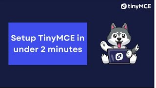 Setup TinyMCE in under 2 minutes [upl. by Morville98]