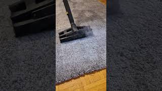 Teppichreinigung Carpet cleaning furniturecleaning carpetcleaning teppiche [upl. by Zachar369]