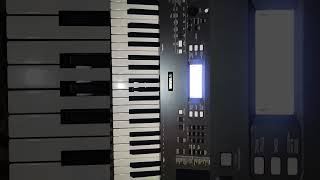 My New Keyboard  Yamaha PSR I300  piano new instrument [upl. by Ahsatel833]