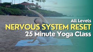 25 Minute Yoga Class  Nervous System Reset amp Vagus Nerve Toning [upl. by Ahsinam476]