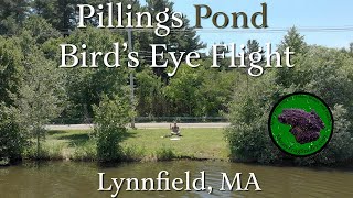 Pillings Pond Flight Lynnfield Massachusetts MA [upl. by Dlanger]