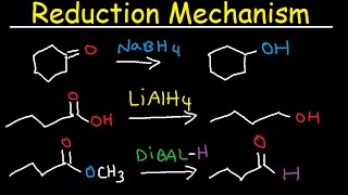 NaBH4 LiAlH4 DIBAL Reduction Mechanism Carboxylic Acid Acid Chloride Ester amp Ketones [upl. by Anahsek716]