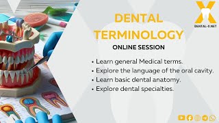 Dental Terminology part 3 [upl. by Krystal]