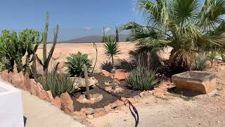 COMO RECOGER AGUA DE LLUVÍA 🌧 EN EL CAMPO  QUE NO TE ENGAÑEN 👀👍 [upl. by Raf]