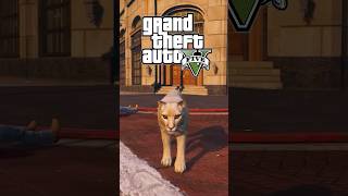 1 MYTHE avec le COUGAR dans GTA5  🐅 gaming gta [upl. by See]