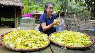 Process of processing and preserving sour star fruit  Harvesting cucumbers for sale  Ly Thi Tam [upl. by Sybyl676]