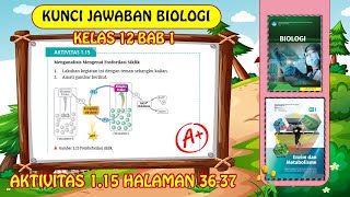 KUNCI JAWABAN BIOLOGI KELAS 12 BAB 1 AKTIVITAS 115 HALAMAN 36 37 KURIKULUM MERDEKA [upl. by Dnomsaj430]