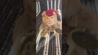 Windup Toy Monkey with Cymbals Max Carl West Germany Vintage WORKS [upl. by Betty]