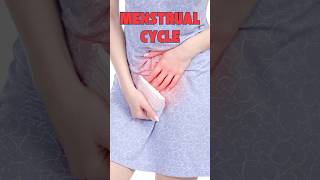 Understanding the Phases of the Menstrual Cycle  Simplified Explanation [upl. by Ginnifer]