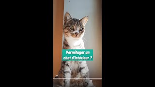 Vermifuger un chat dintérieur [upl. by Nallid]