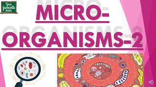 Microorganisms  MICROORGANISMS FRIEND AND FOE  Science  Class 8  Part 2 [upl. by Elvie]