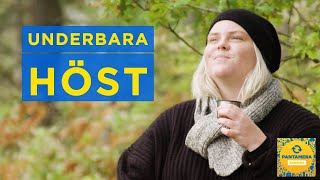 FÖRVÄNTNINGAR VS VERKLIGHET [upl. by Rihana]