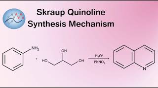 Skraup Quinoline Synthesis Mechanism  Organic Chemistry [upl. by Inan383]