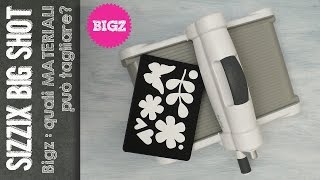 Big Shot Sizzix Quali materiali tagliano le fustelle by Anna – cafecreativo [upl. by Enajaras]