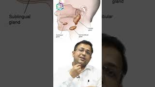 Spotlight on Salivary Gland Cancer Everything you need to know  Dr Amit Chakraborty Mumbai [upl. by Junette]