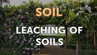 Leaching of Soils [upl. by Arolf569]