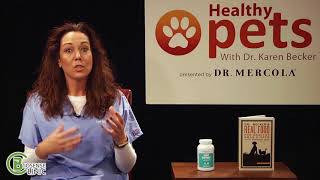 Dr Becker Discusses New Joint Support for Older Pets [upl. by Assirual]