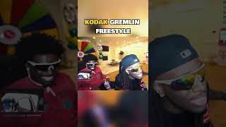 Kodak is geekin Kai Cenat looks concerned kaicenatstream kodakblack kaicenatclip [upl. by Fiden351]