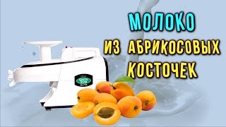 Молоко из абрикосовых косточек рецепт для соковыжималки Green Star Elite [upl. by Nedrud]