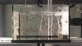 Bubble induced recirculatory flow in a tank [upl. by Nicolis647]