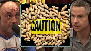 Did We Create The Peanut Allergy Epidemic  Joe Rogan [upl. by Hayn]