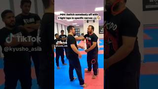 weak points master amazing skills martial arts extreme stunts training technics extraordinary omg [upl. by Summer]