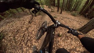 Aptos MTB  The best trail of the day  Turbo Levo 92824 [upl. by Halden]