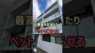 【札幌お部屋探し】最高な日当たりでペットと暮らせるお部屋をご紹介 賃貸 札幌マンション 札幌賃貸マンション 不動産 札幌不動産 札幌 [upl. by Elyl]