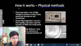 Transfection of mammalian cells [upl. by Ibed]