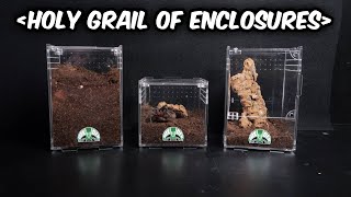 These are THE BEST Acrylic Enclosures for TARANTULAS and other critters  Built by Tarantula Cribs [upl. by Avihs]