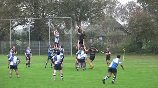 rugby 2024 rcd rc zwolle 20241110 highlights movie [upl. by Lasley347]