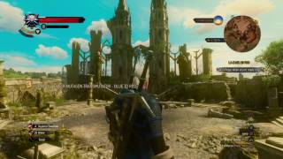 Witcher 3  Defeat the Phantom of the Amphitheater BOSS FIGHT  Blood and Wine [upl. by Ahsilahk]