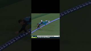 Top 3 new best Fielding efforts in Cricket 🔥 cricket ipl viratkohli [upl. by Huntington]