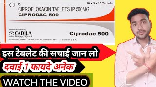 ciprofloxacin 500 Mg tablet uses dose side effects shorts video short Film YTshort [upl. by Nosreh201]