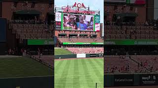 Kiss Cam  StLouis Cardinals Baseball [upl. by Cosetta46]