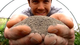 Why Have I Been Growing Plants in Sand Using Sand medium for Rooting Cuttings  Plant Propagation [upl. by Ientruoc]