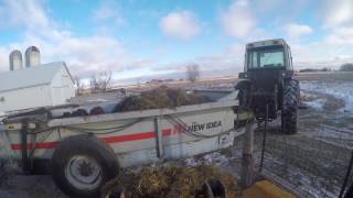 Part 1 of loading hog manure with the case 1816 skidloader [upl. by Nilek322]