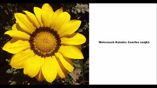 Weinrauch Katalin Cserfes szajkó [upl. by Kittie]