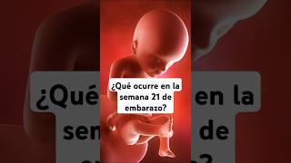 🤔 ¿Qué ocurre en la semana 21 de embarazo 🤰 Síntomas y desarrollo del bebé [upl. by Helbon]