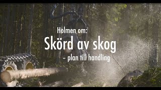 Holmen om Skörd av skog  plan till handling [upl. by Dell]