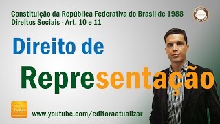 CF88  Arts 10 e 11 Constituição da República [upl. by Oluas529]