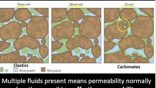 Rock porosity permeability and diagenesis [upl. by Bailie940]