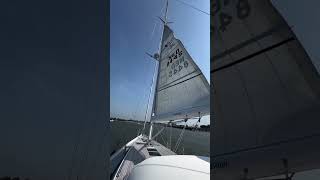 Continuous pro  furlingboom mainsail xyachts shorts [upl. by Aelram]