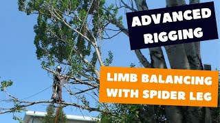 Spider leg rigging  Tree rigging techniques [upl. by Tamma]