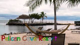 quotPelican Cove Resortquot Islamorada Fl [upl. by Eveivenej]