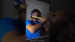 Nihanda Gamane Babara Nade  නිහඬ ගමනේ Flute Cover [upl. by Neitsirhc470]