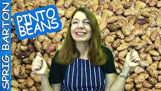 Cook THE BEST PINTO BEANS Recipe Texas Style Sprig Barton [upl. by Ardnohsed]