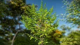 Learn How to Get the Best HighQuality Trees in Lumion [upl. by Morten768]