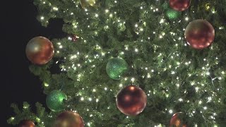 City of Beaumont postpones annual Christmas tree lighting ceremony [upl. by Kermit]